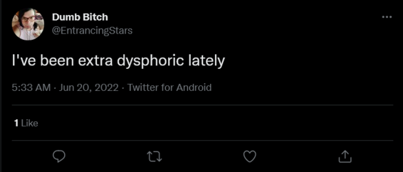 Screenshot 2022-06-21 at 02-53-20 Dumb Bitch on Twitter.png