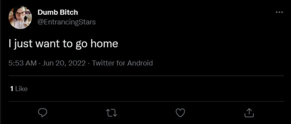 Screenshot 2022-06-21 at 02-53-44 Dumb Bitch on Twitter.png