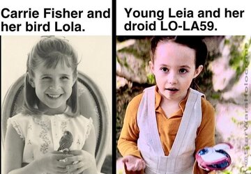 Lola.jpg