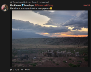 alpaca herd.PNG