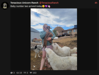 baby alpaca.PNG