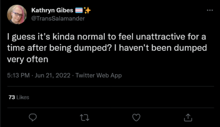 Screenshot 2022-06-22 at 02-38-26 Kathryn Gibes 🏳️‍⚧️✨ on Twitter.png