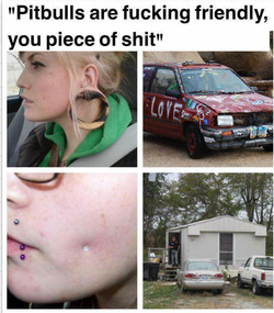 1655869855373.png