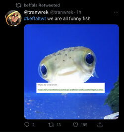 F291B9D4-5B4D-4C5C-9888-DD034D106999.jpeg
