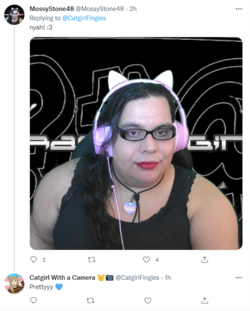 1655880575136.png