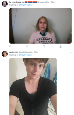 1655880659553.png
