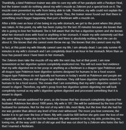 ZIPAIRIGpage2.PNG