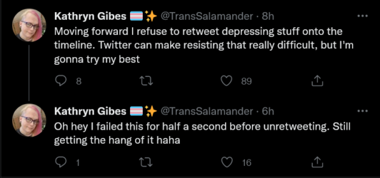 Screenshot 2022-06-23 at 00-16-44 Tweets with replies by Kathryn Gibes 🏳️‍⚧️✨ (@TransSalamande...png