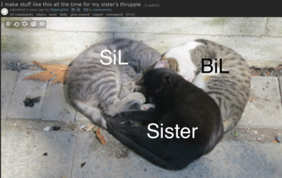 SSthrupple.PNG