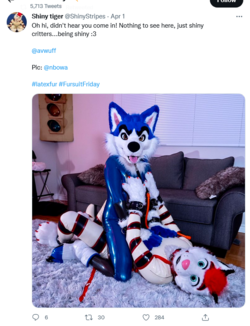 Screenshot 2022-06-22 at 21-00-26 Av Husky 🎈 (@avwuff) _ Twitter.png