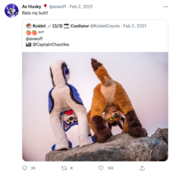 Screenshot 2022-06-22 at 21-12-13 Av Husky 🎈 (@avwuff) _ Twitter.png