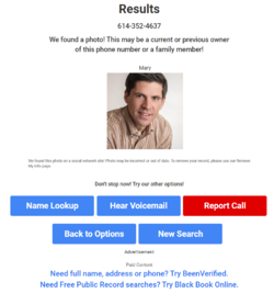 screencapture-spydialer-results-aspx-2022-06-23-01_45_23.png