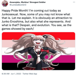 junkosexual1.png