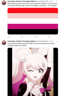 junkosexual3.png