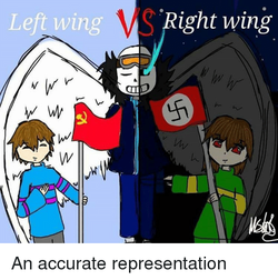 left-wing-vs-right-wing-an-accurate-representation-37788544.png