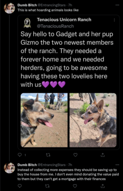 Screenshot 2022-06-24 at 00-26-16 Tweets with replies by Dumb Bitch (@EntrancingStars) _ Twitter.png