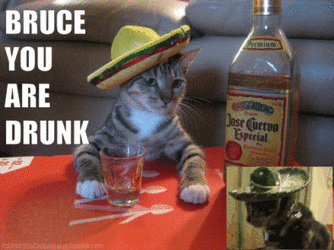 tumblr_lqxj84nhy81qint86o1_400.gif