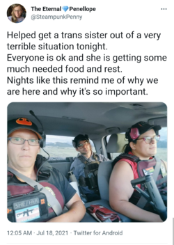 1656042183590.png