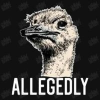 allegedly.jpg