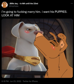 1656049349791.png