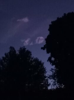 IMG_20220622_042405.jpg