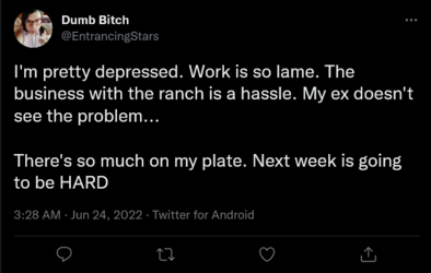 Screenshot 2022-06-24 at 13-09-35 Dumb Bitch on Twitter.png