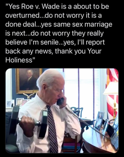 biden reporting to pope.png