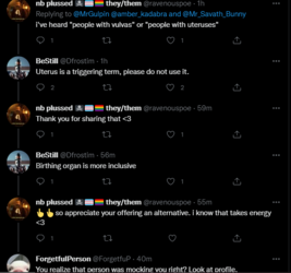 please use birthing people 2.PNG
