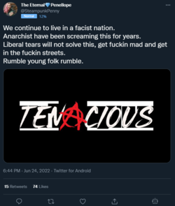 1656102232420.png