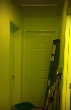 green.jpg