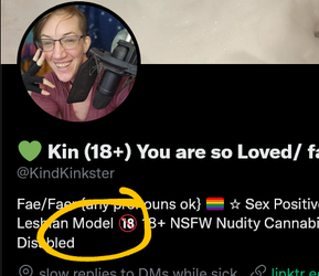 Screenshot 2022-06-25 at 00-28-27 💚 Kin (18 ) You are so Loved_ fae_they_he_she (@KindKinkster...png