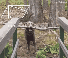 lulz_1809.gif