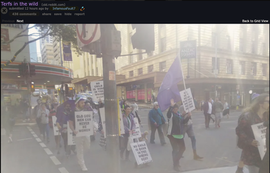 1656181585165.png