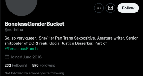 Screenshot 2022-06-26 at 00-53-41 BonelessGenderBucket (@norintha) _ Twitter.png