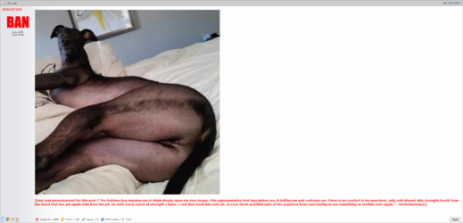 unclejimban.png