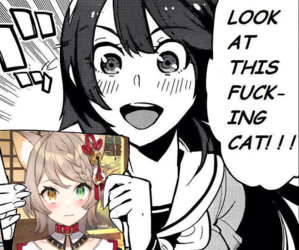 look at this fucking cat.png