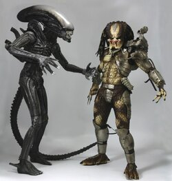 00__scaled_800.jpg