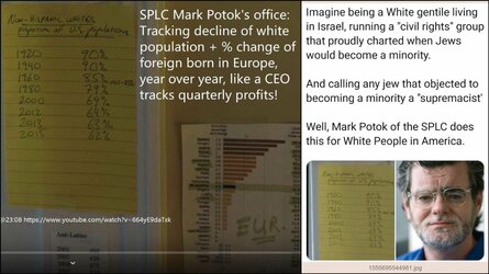 splc white demographic.jpg