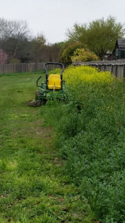 overgrown-mowing.jpg