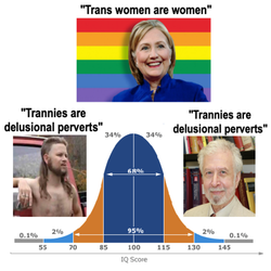 1656370604703.png