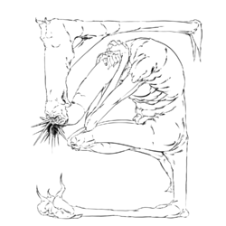 003.png