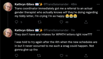 Screenshot 2022-06-28 at 19-47-15 Tweets with replies by Kathryn Gibes 🏳️‍⚧️✨ (@TransSalamande...png