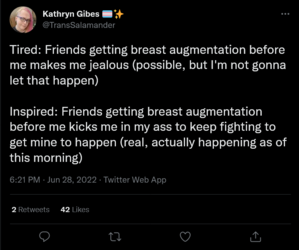 Screenshot 2022-06-28 at 19-48-22 Kathryn Gibes 🏳️‍⚧️✨ on Twitter.png