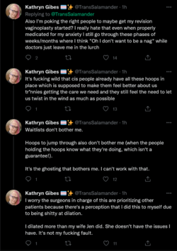 Screenshot 2022-06-28 at 19-49-23 Kathryn Gibes 🏳️‍⚧️✨ on Twitter.png