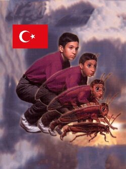 39e.jpg