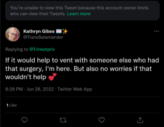 Screenshot 2022-06-29 at 02-25-03 Kathryn Gibes 🏳️‍⚧️✨ on Twitter.png
