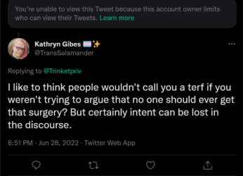 Screenshot 2022-06-29 at 02-25-18 Kathryn Gibes 🏳️‍⚧️✨ on Twitter.png