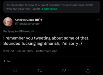 Screenshot 2022-06-29 at 02-27-48 Kathryn Gibes 🏳️‍⚧️✨ on Twitter.png