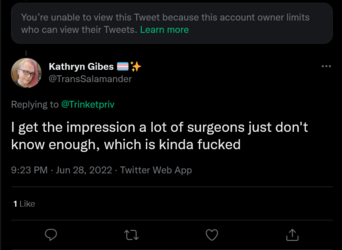 Screenshot 2022-06-29 at 02-28-30 Kathryn Gibes 🏳️‍⚧️✨ on Twitter.png