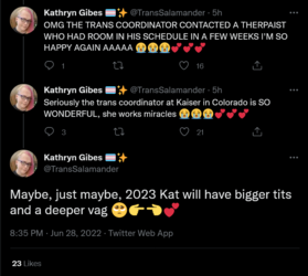 Screenshot 2022-06-29 at 02-31-11 Kathryn Gibes 🏳️‍⚧️✨ on Twitter.png